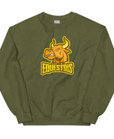 Equestris Sweatshirt